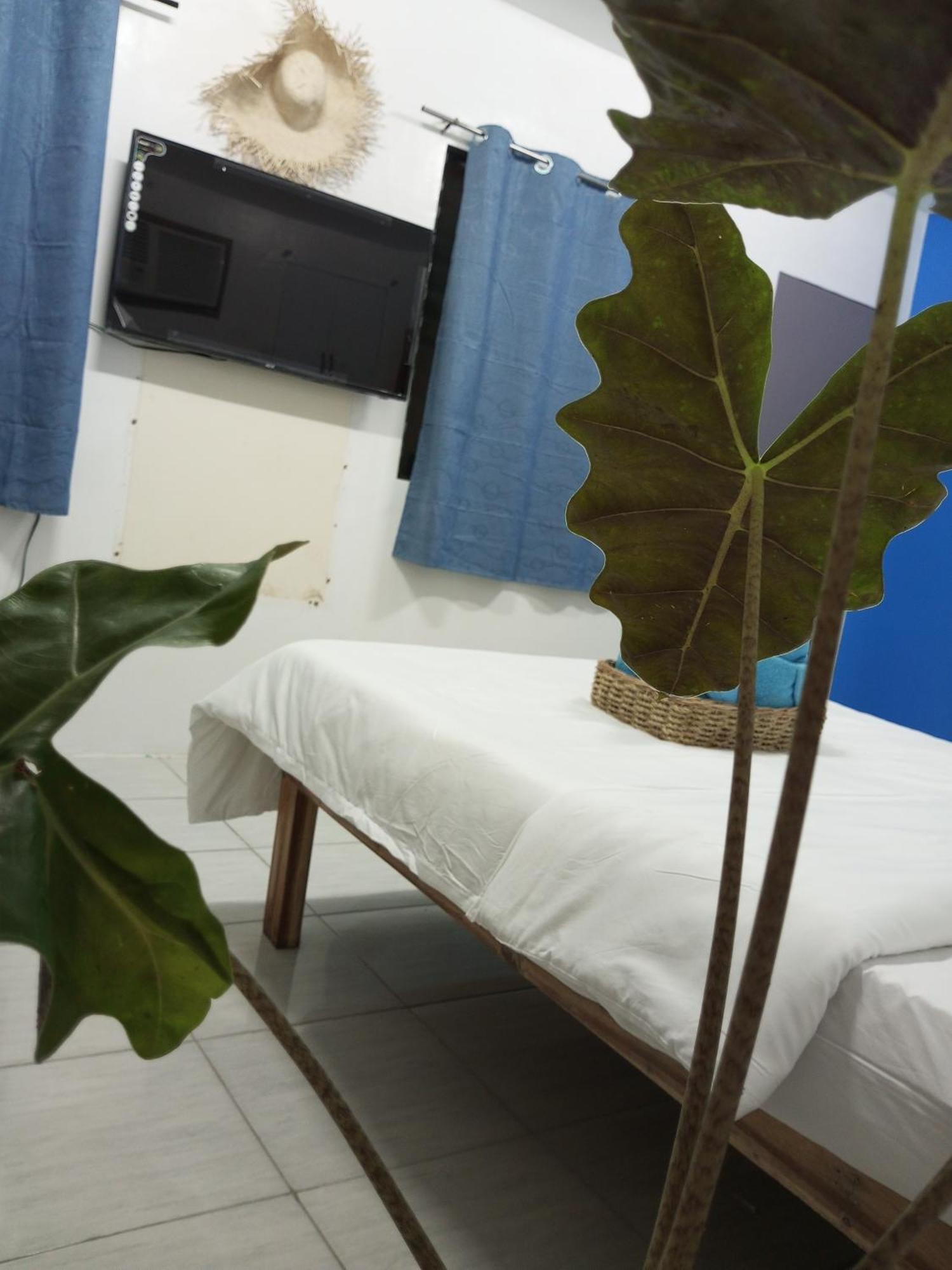 Laluna Cottages 엘니도 객실 사진